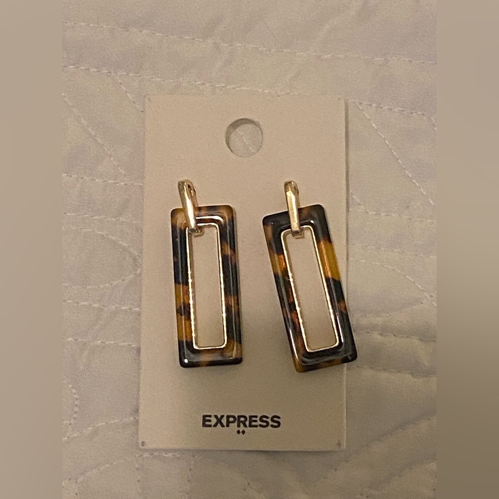 Express Earrings - Picture 1 of 1